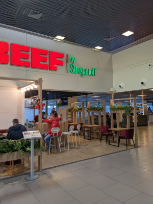 BEEF by Stroganoff 7