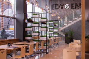 EDYEM_1