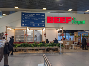 BEEF by Stroganoff 8